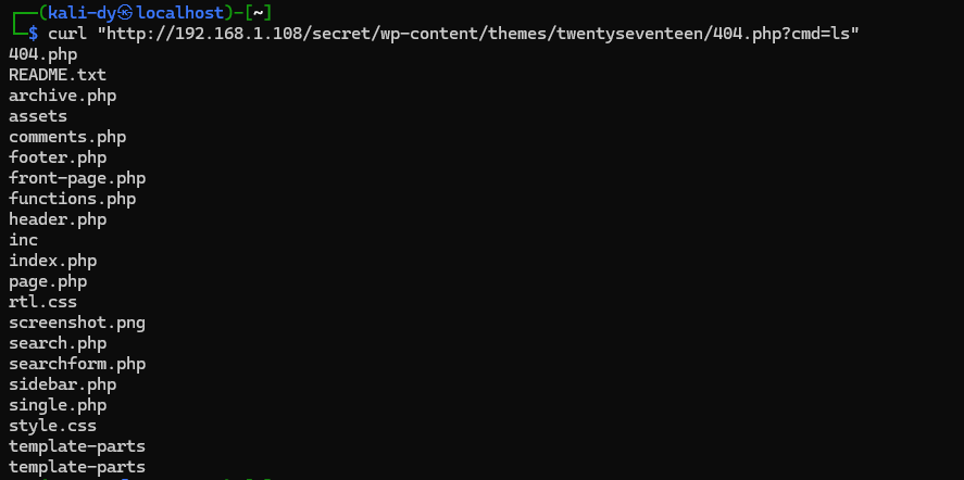 Backdoor command execution